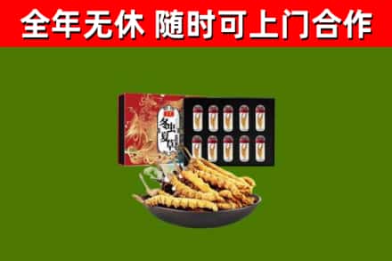 杏花岭区烟酒回收冬虫夏草礼盒.jpg