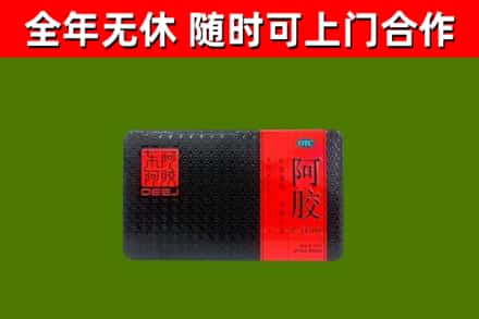杏花岭区回收阿胶